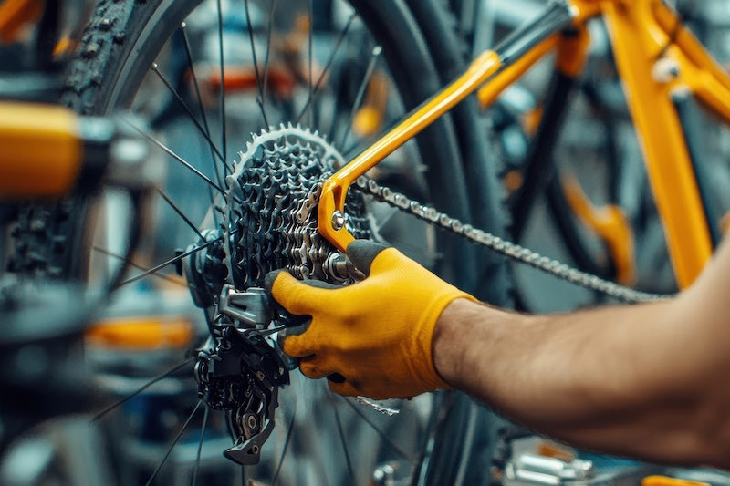 Standard Tune-Up (Service)