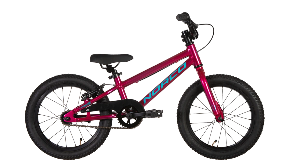 Norco Coaster 16